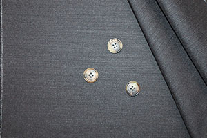 エルメネジルド・ゼニア