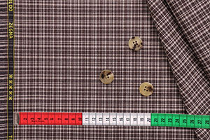 エルメネジルド・ゼニア