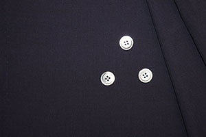 エルメネジルド・ゼニア